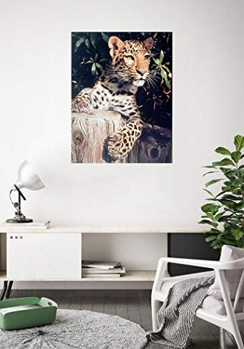 Леопард (Пантера, Ягуар, Голяма Котка), монтиран на стената Художествен Плакат с изображение на Диви Животни (16x20)