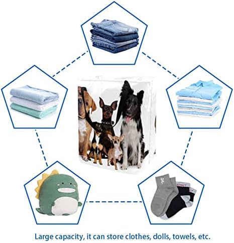 DJROW Възпрепятстват Just Dogs Семейно Високо Складное Кофа за дрехи с Дръжки, Сгъваема Кошница за съхранение на дрехи и играчки
